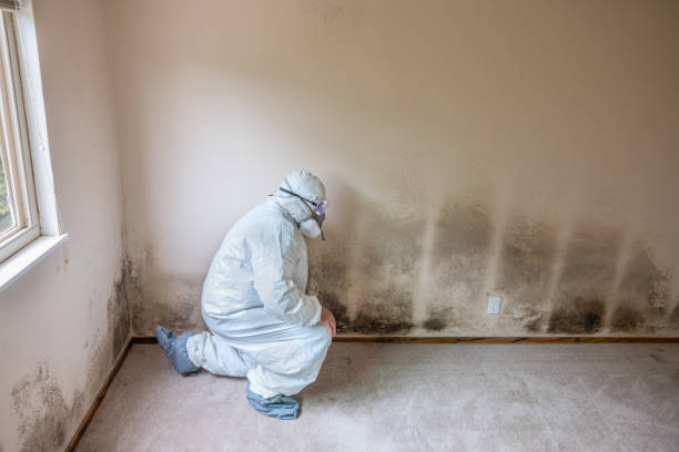 Mold Remediation for Vacation Homes in Flora, MS